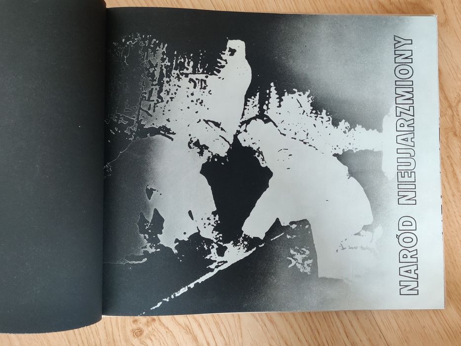 Polacy na drogach do zwycięstwa. J. Przymanowski