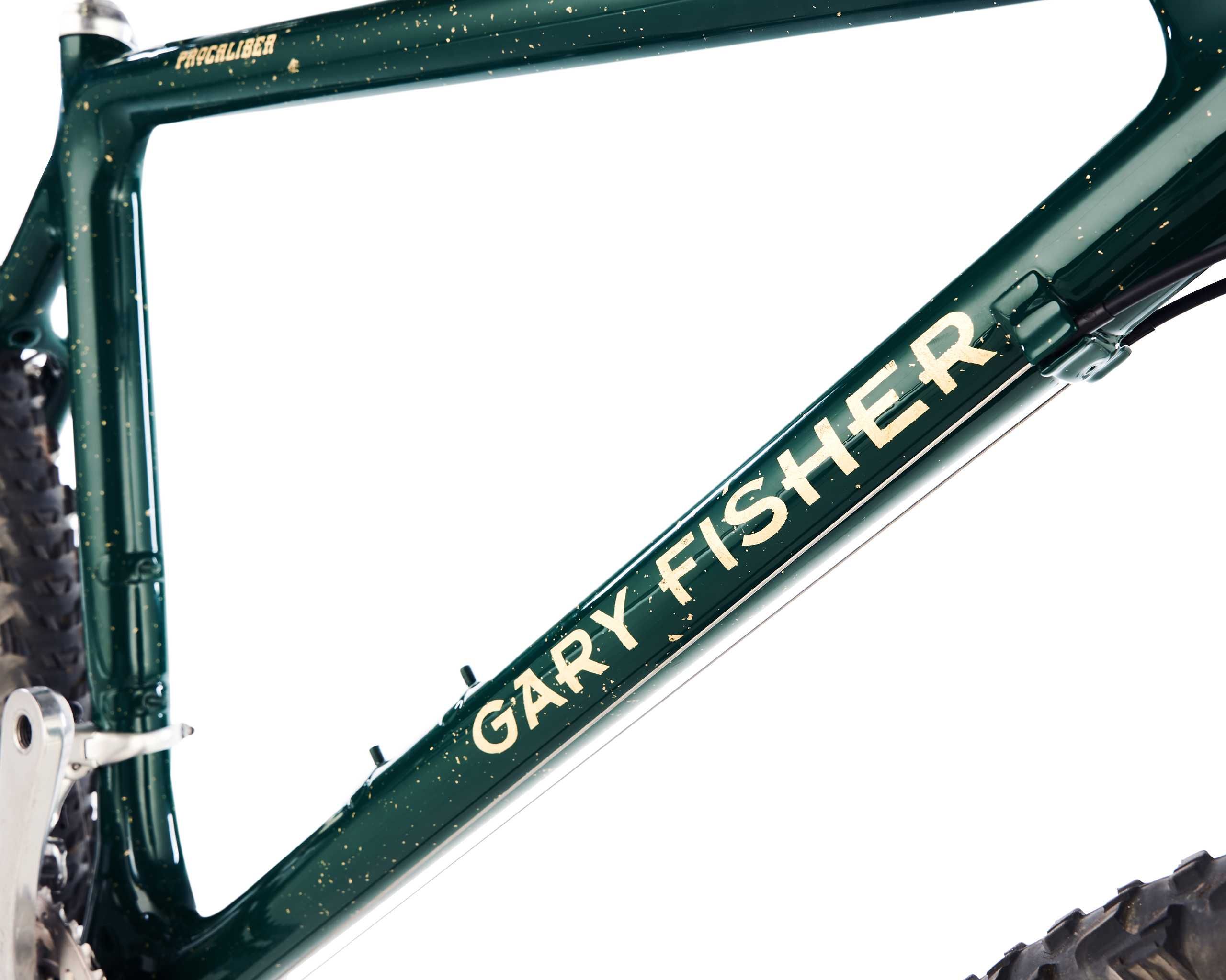 Gary Fisher Procaliber