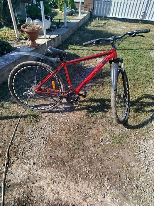 Спортивні велосипеди