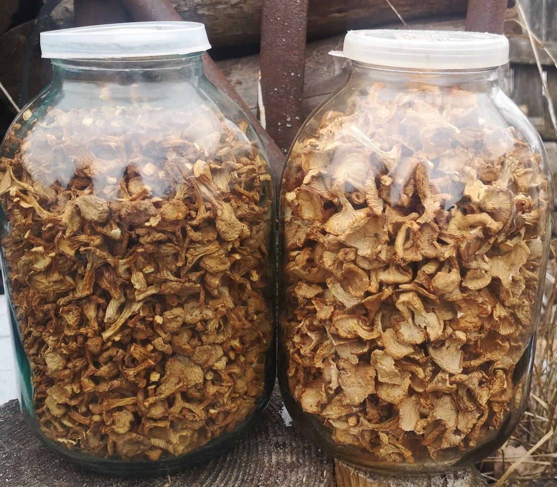 Лисички сушёные, маринованные белые грибы