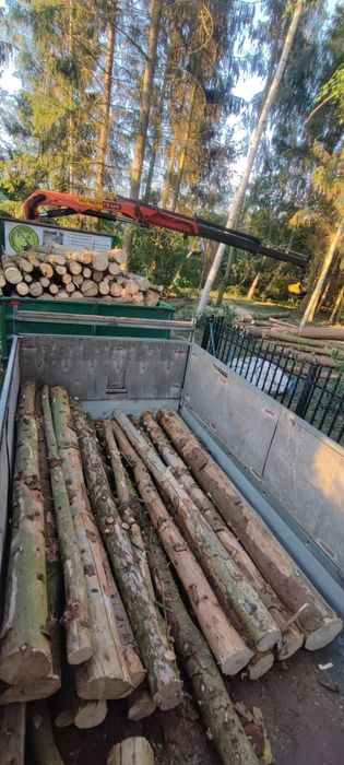 Wycinki drzew, met.alpinistycznymi, z użyciem dźwigów, podnośników