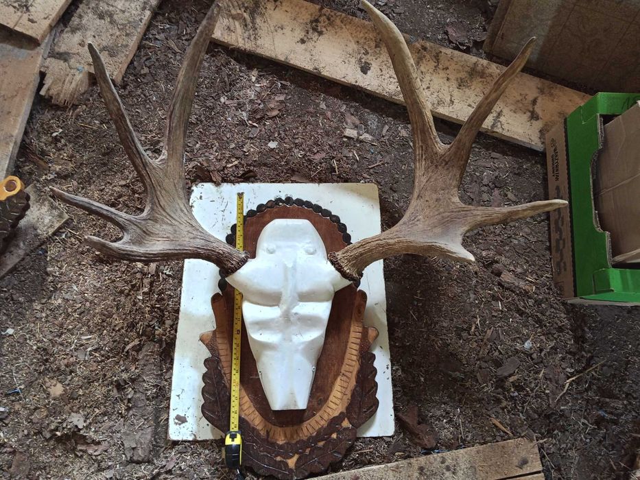 Poroże na rzeźbionej podstawie – dekoracja