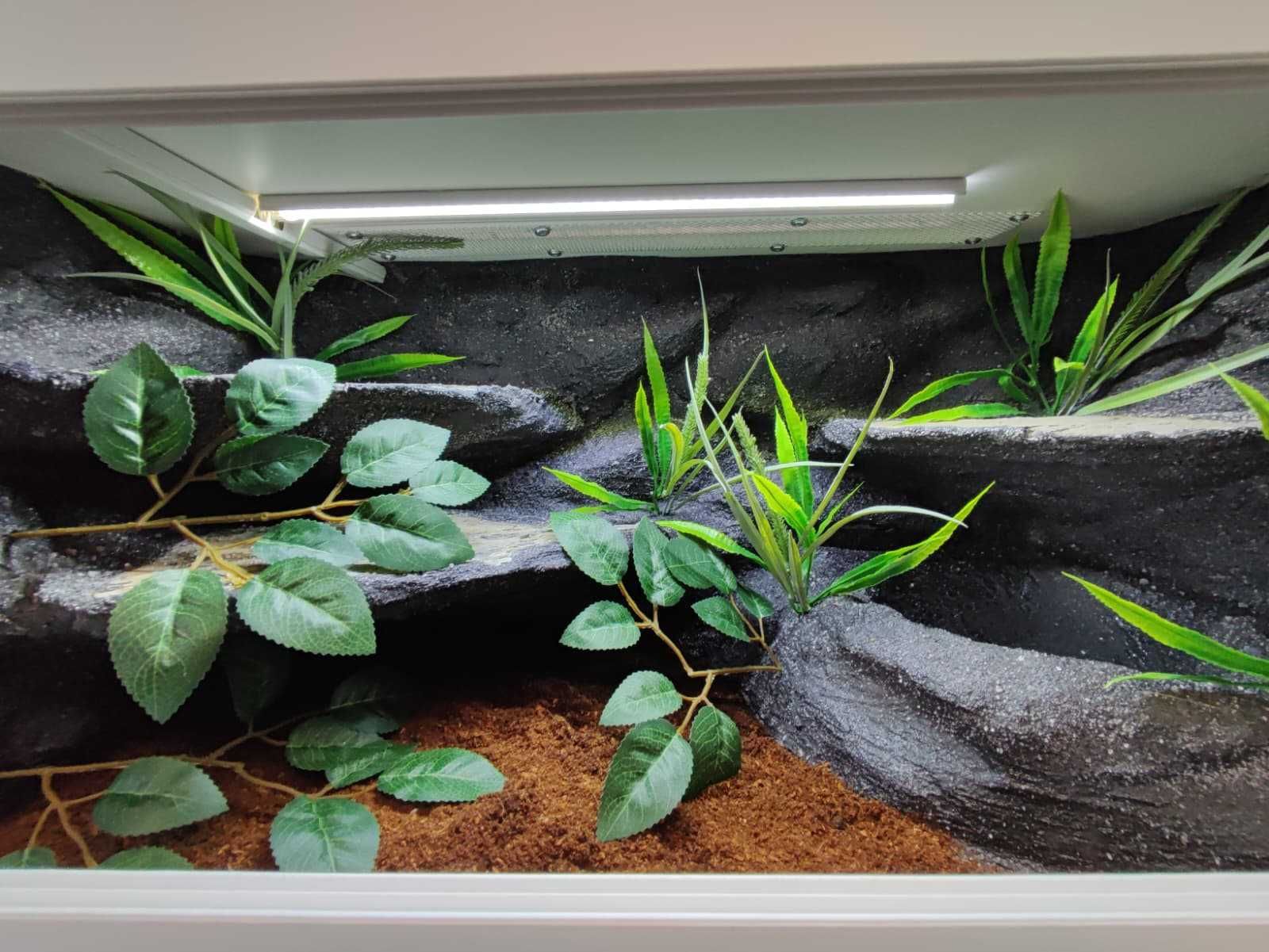 Terrarium tropikalne nr766 80/40/40 dla węża boa pyton  DOSTĘPNE