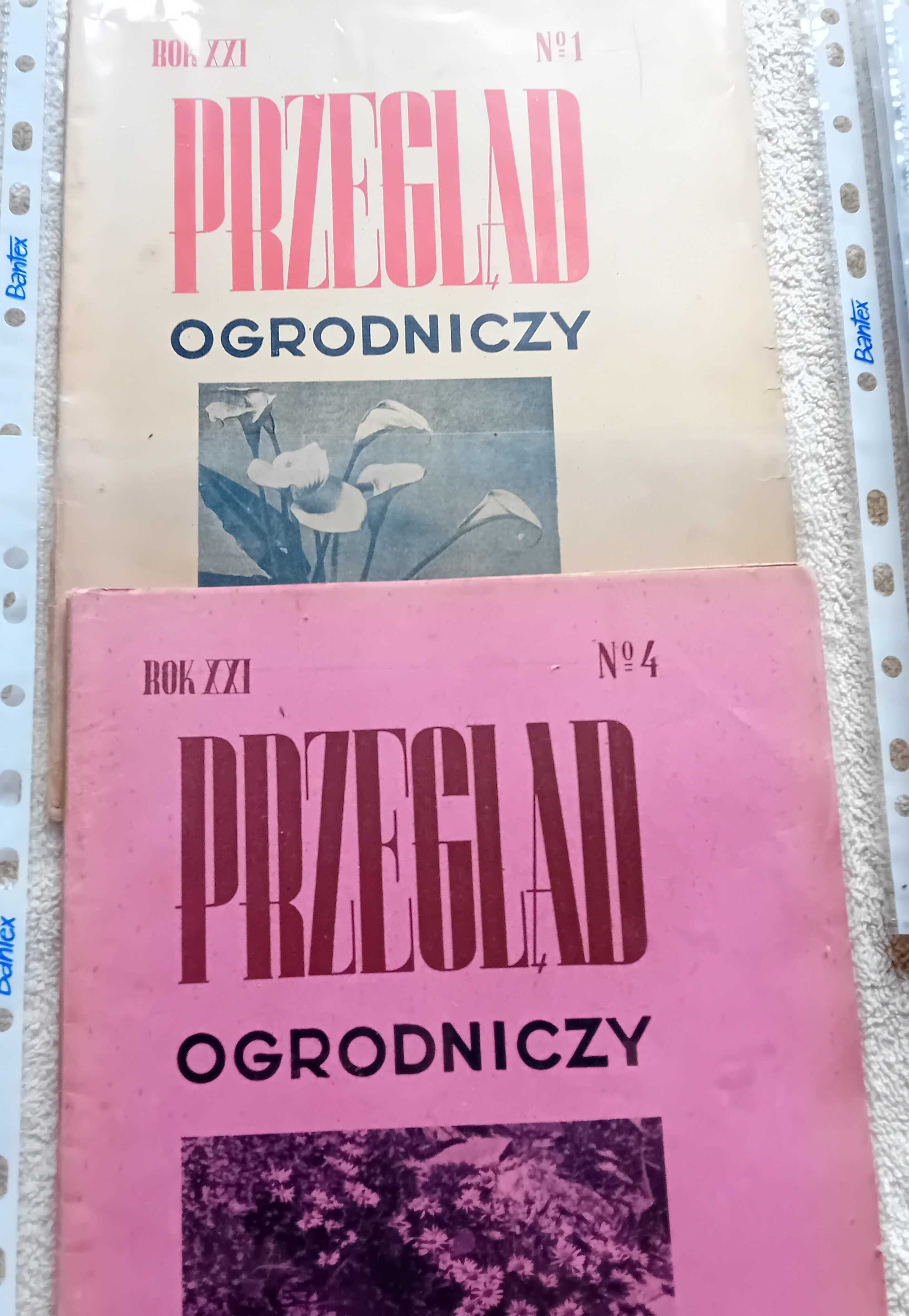 Przegląd ogrodniczy, rocznik 1938 (niekompl) rok XXI, brak num. 2,3,10