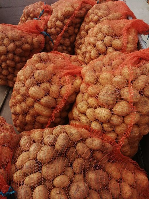 Ziemniaki jadalne oraz wielkości sadzeniaka Denar, Marabel- 2,00zł/kg.