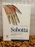 Atlas anatomii człowieka Tom l. Sobotta