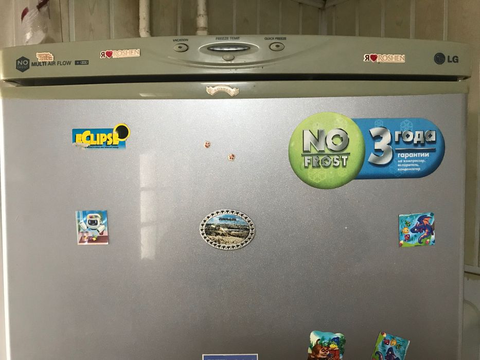Холодильник з морозилкою LG