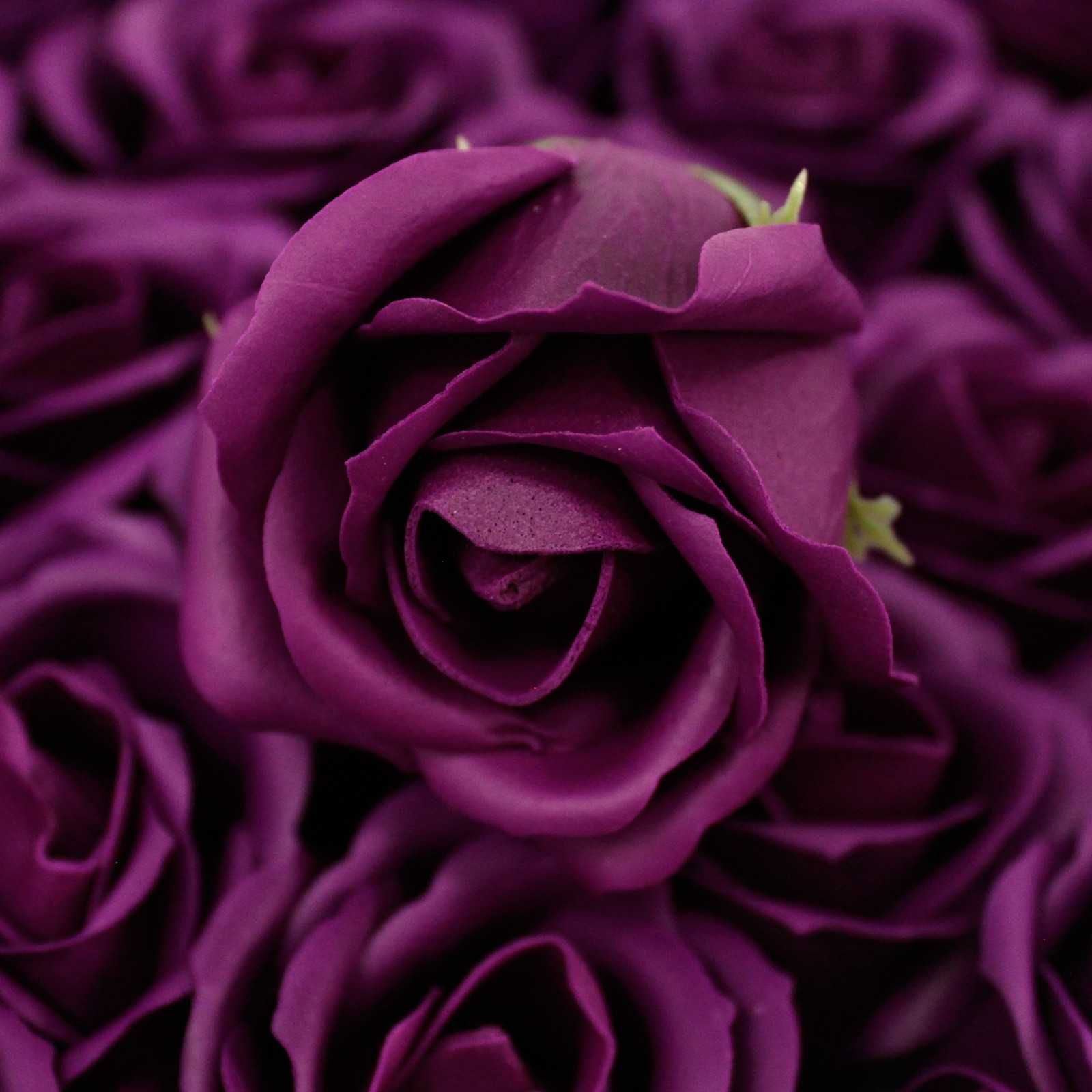 50x Ciemnofioletowa Róża Mydlana