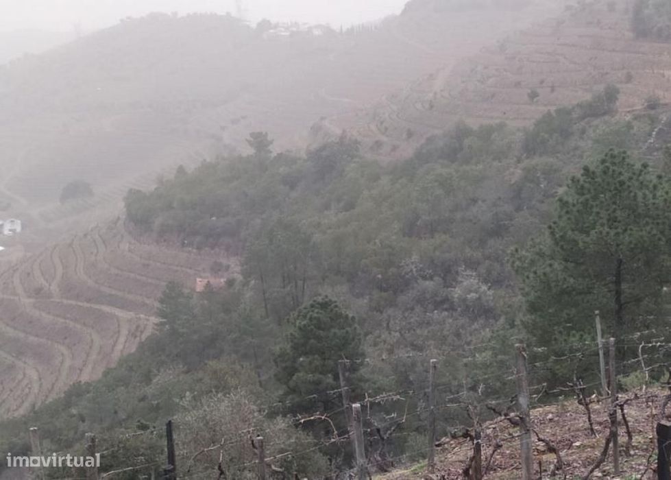 Venda de Terreno Rústico - Vila Seca (Armamar)