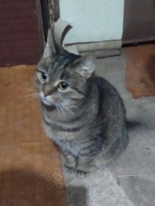 Маша терміново шукає родину