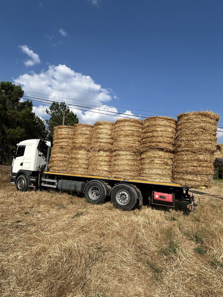 Rolos de fenos e palha, 1.20 m por 1.20m
