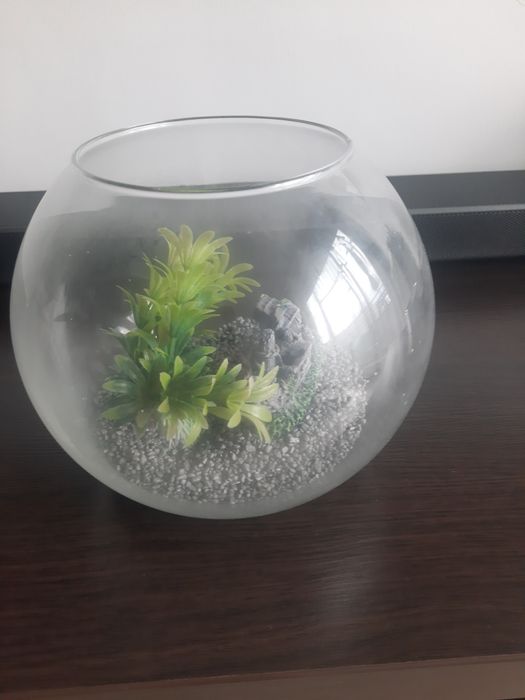 Akwarium kula piasek statek