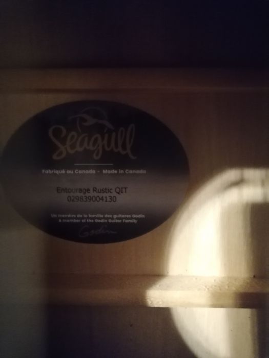 Seagull Entourage Rustic Qit