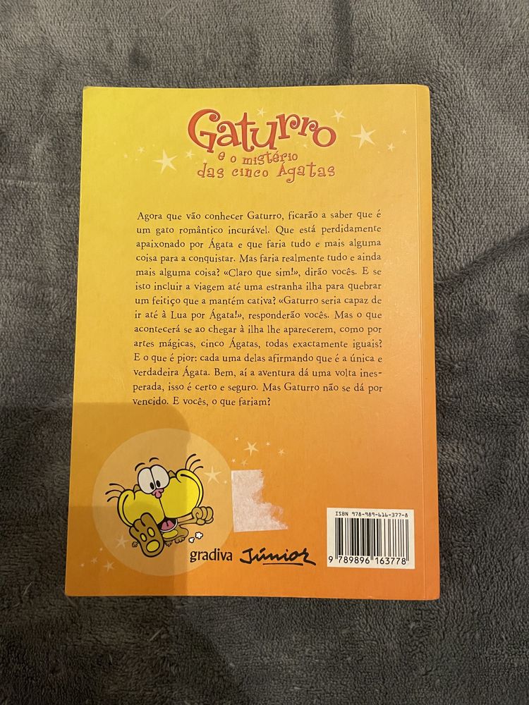 Livro “ Gaturro e o mistério das cincos ágatas” NIK