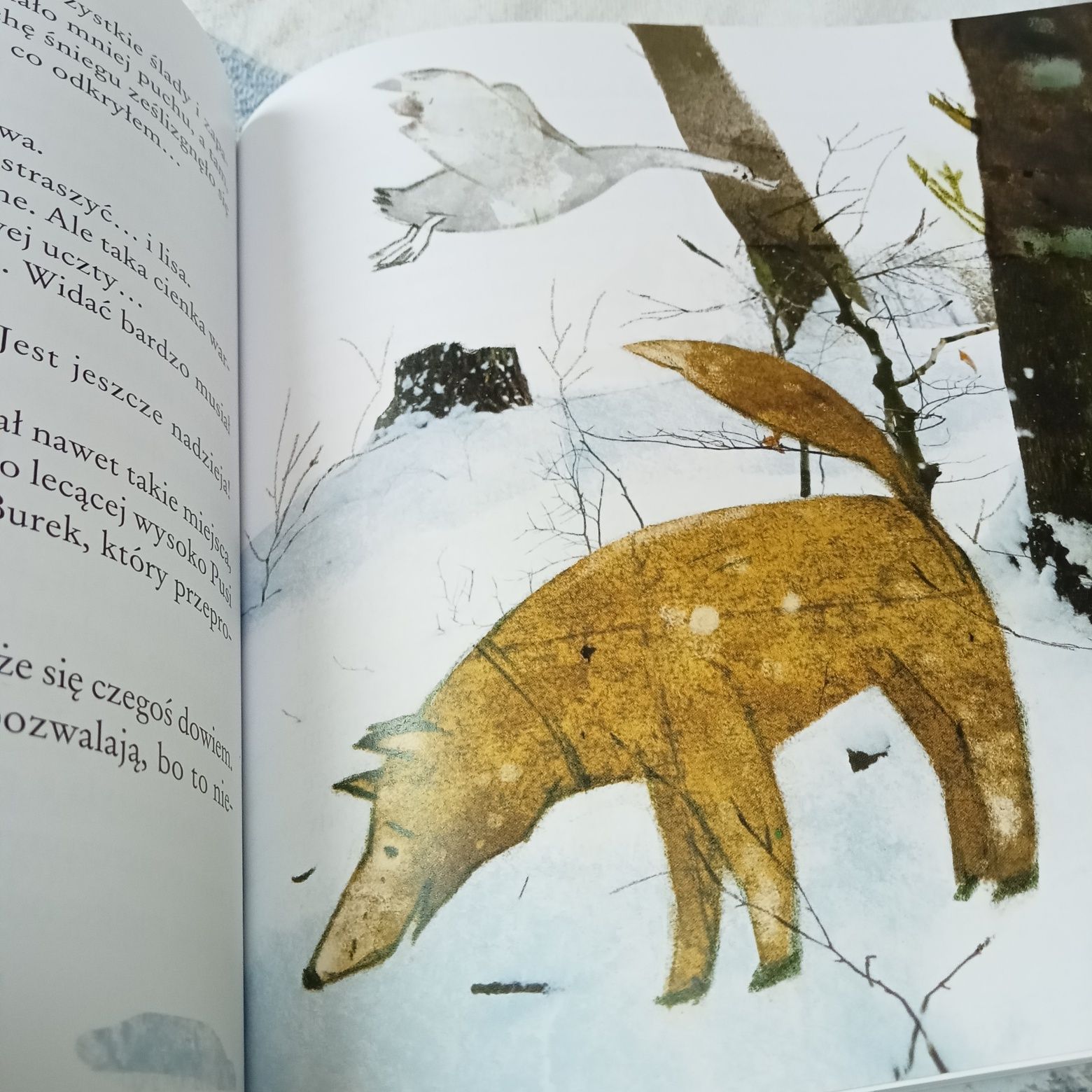 Filip, lis i magia słów. Elżbieta Zubrzycka