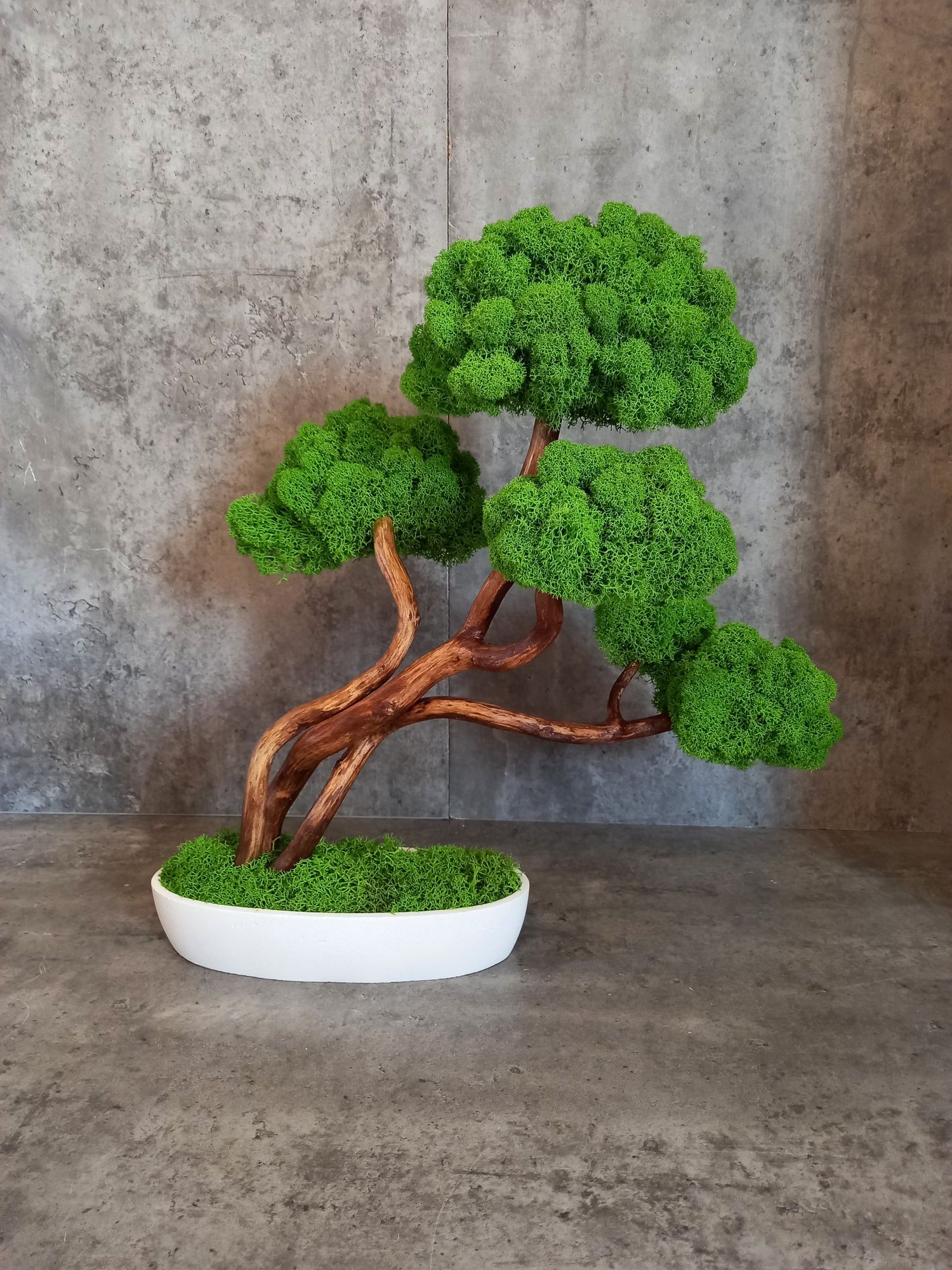 Drzewko bonsai. Mech Chrobotek.Prezent. Wyposażenie wnętrz