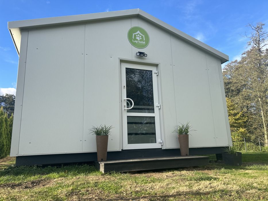 Hotel dla psów miejsce z pasją