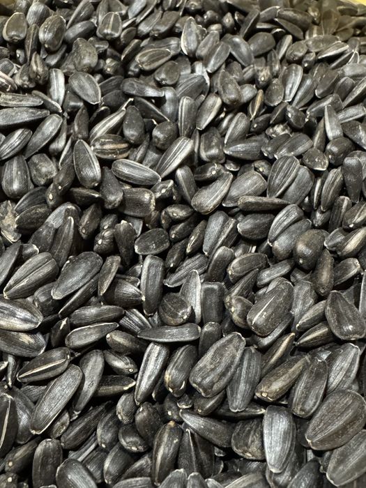 Насіння соняшника для смаження
