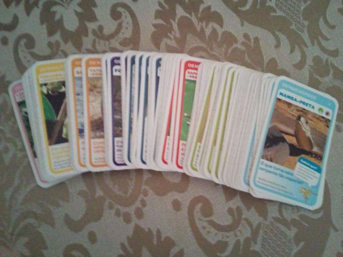 Cartas Pingo Doce