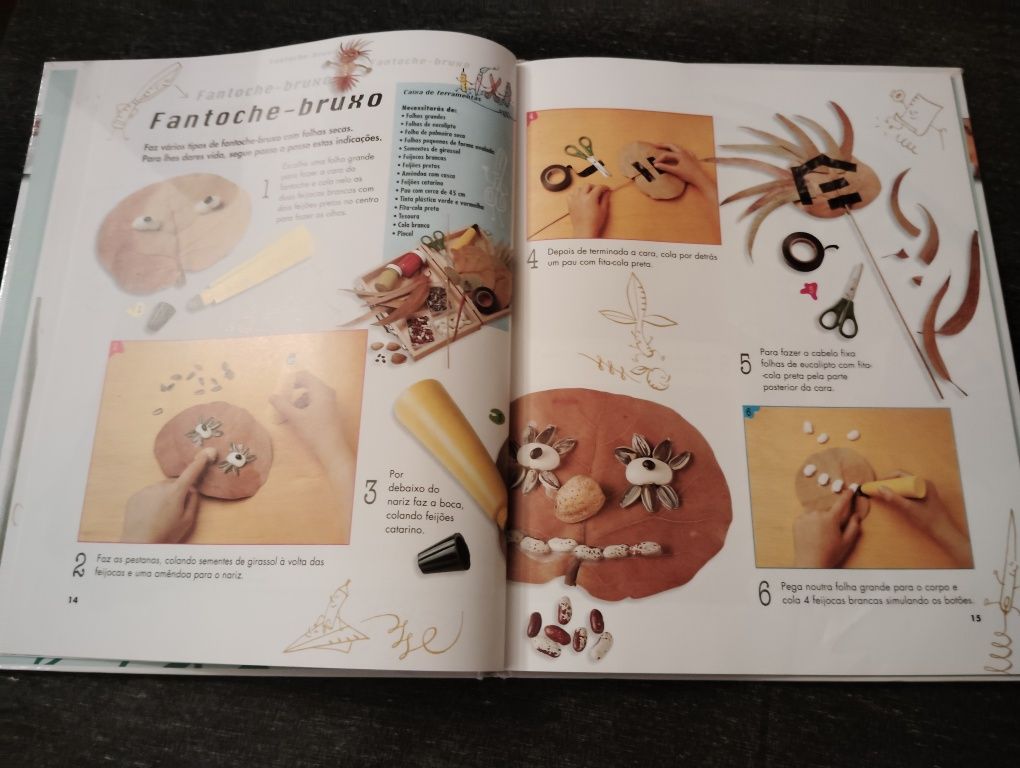 Livro Infantil Coleção Vamos Criar Usado
