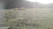 Sprzedam działkę 8400m2 - pozwolenie na budowę
