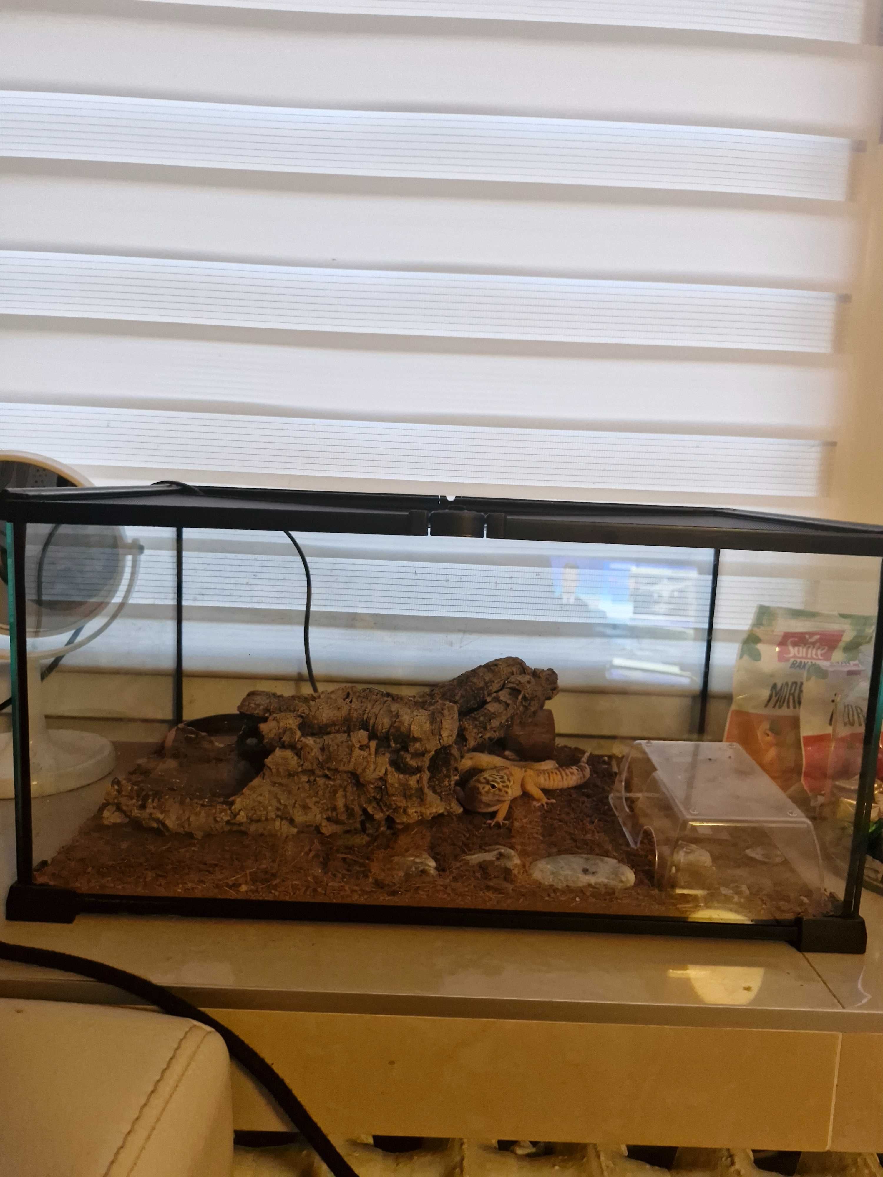 Sprzedam terarium