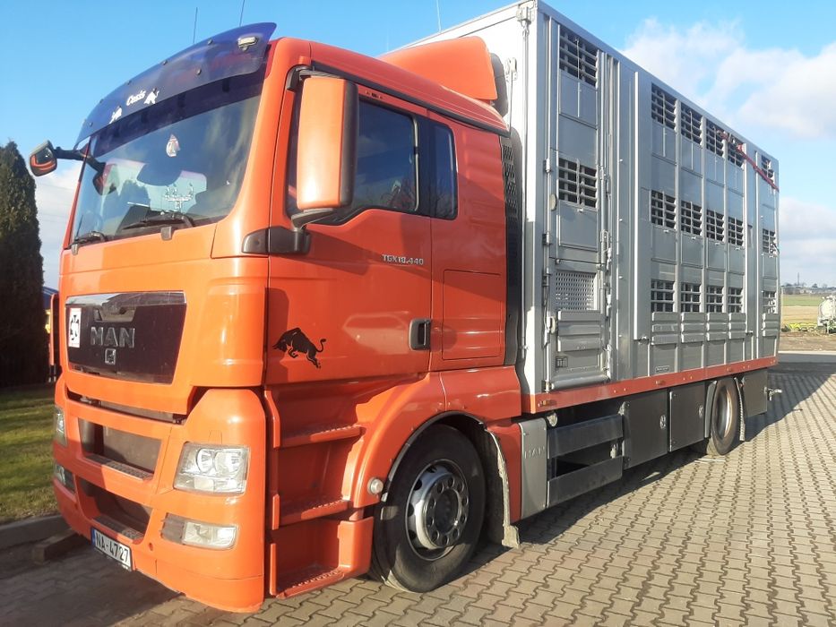 Man TGX 18.440 euro 5 do przewozu zwierząt żywca