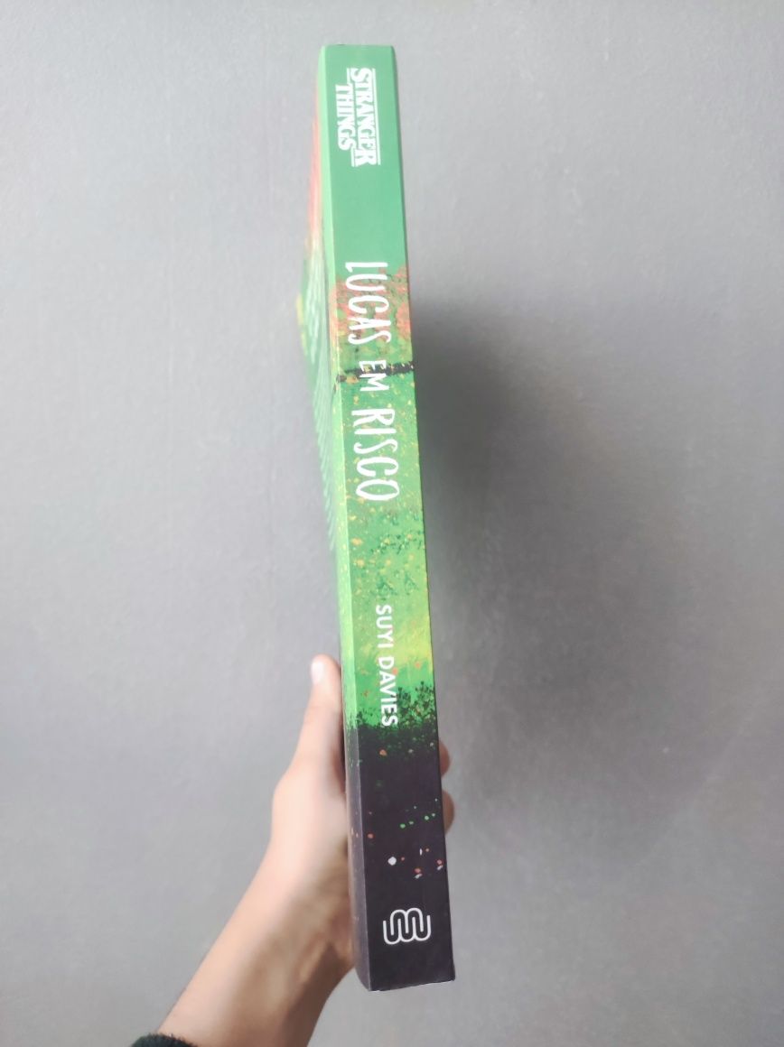 Livro: Stranger Things Lucas em risco oficial