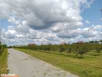 Działka, Annopol