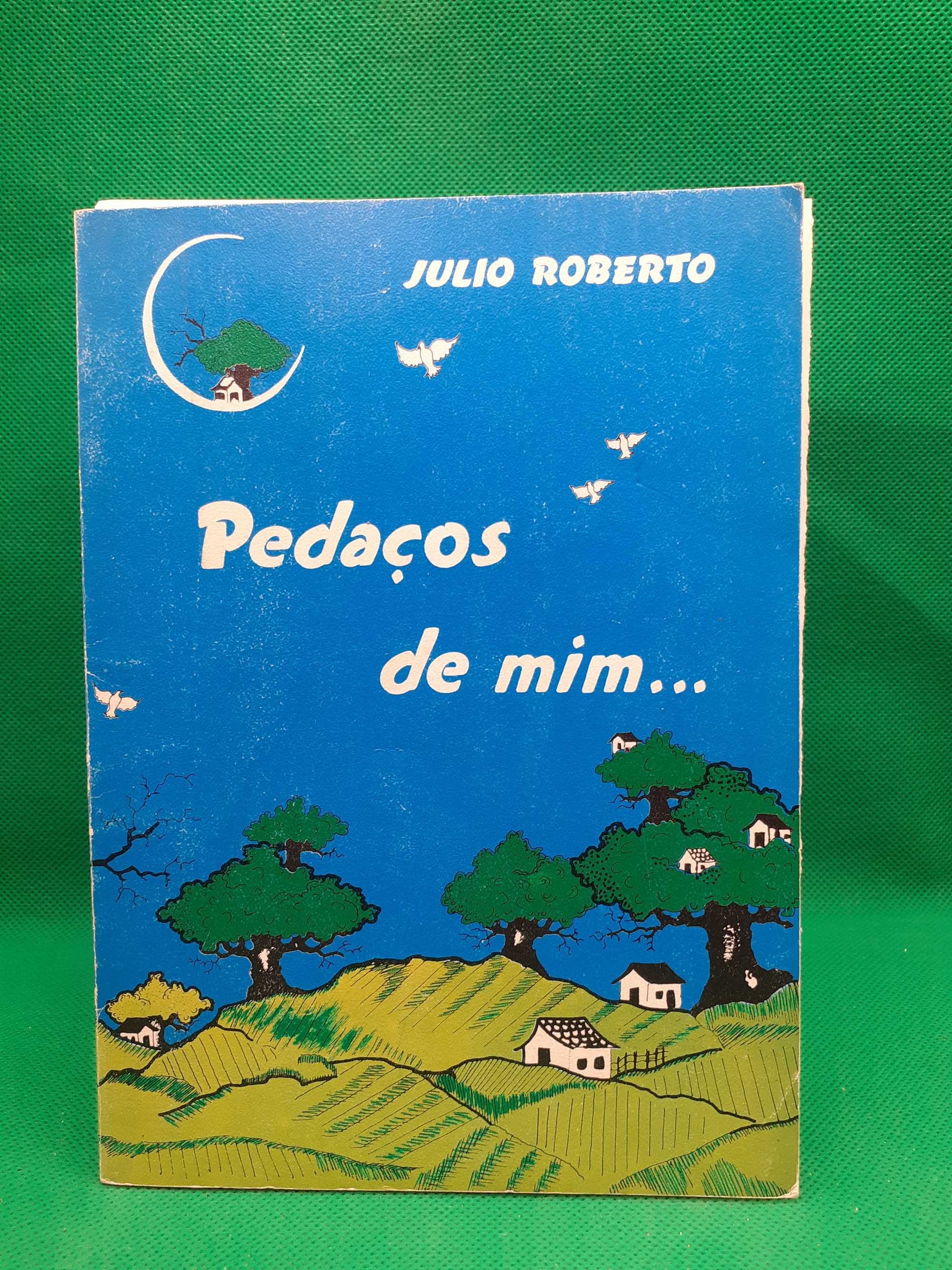 Livro - REF ESC - Julio Roberto - Pedaços De Mim...