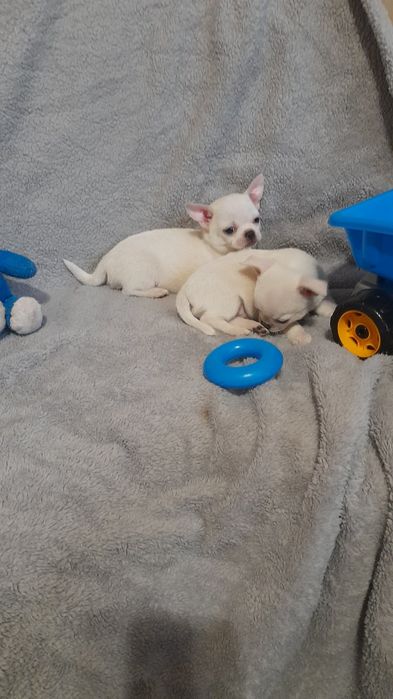 Щастя таки існує