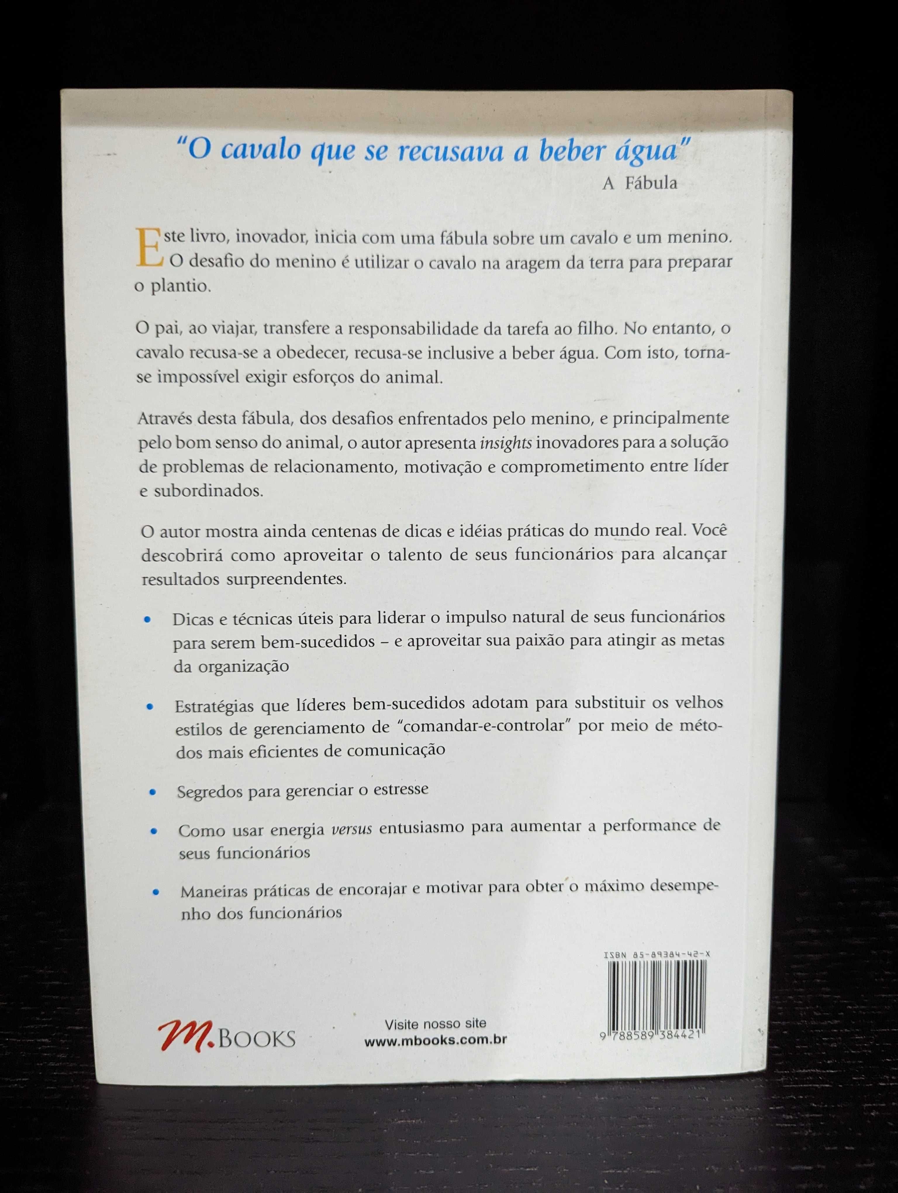 Liderança para Gerentes e Executivos - Alex Hiam