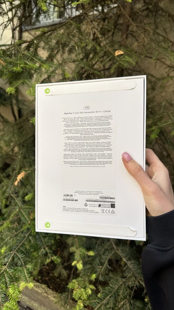 Apple iPad Pro  11 2022 Wi-Fi + LTE 1Tb Space Gray