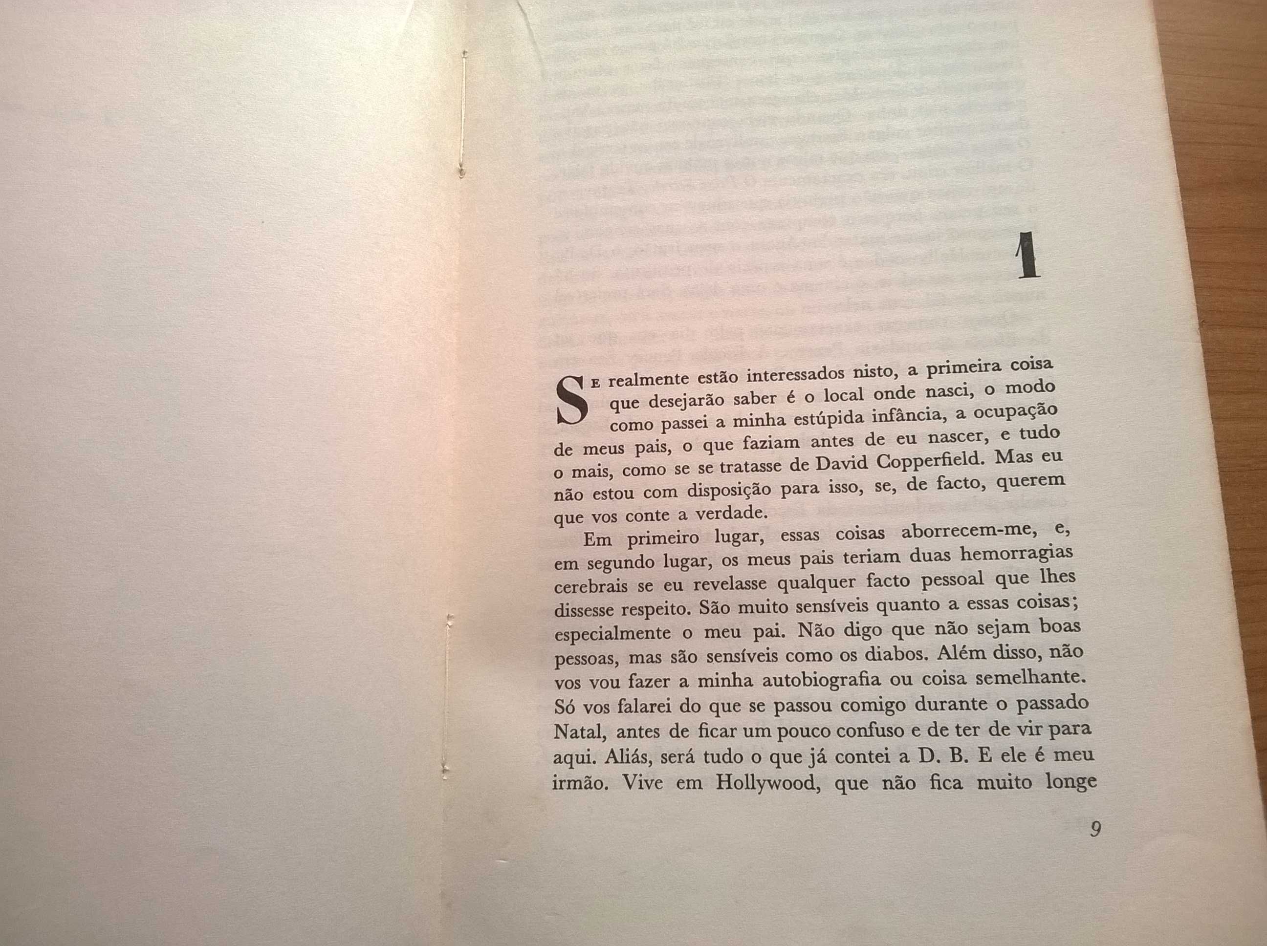 Uma Agulha no Palheiro - J. D. Salinger