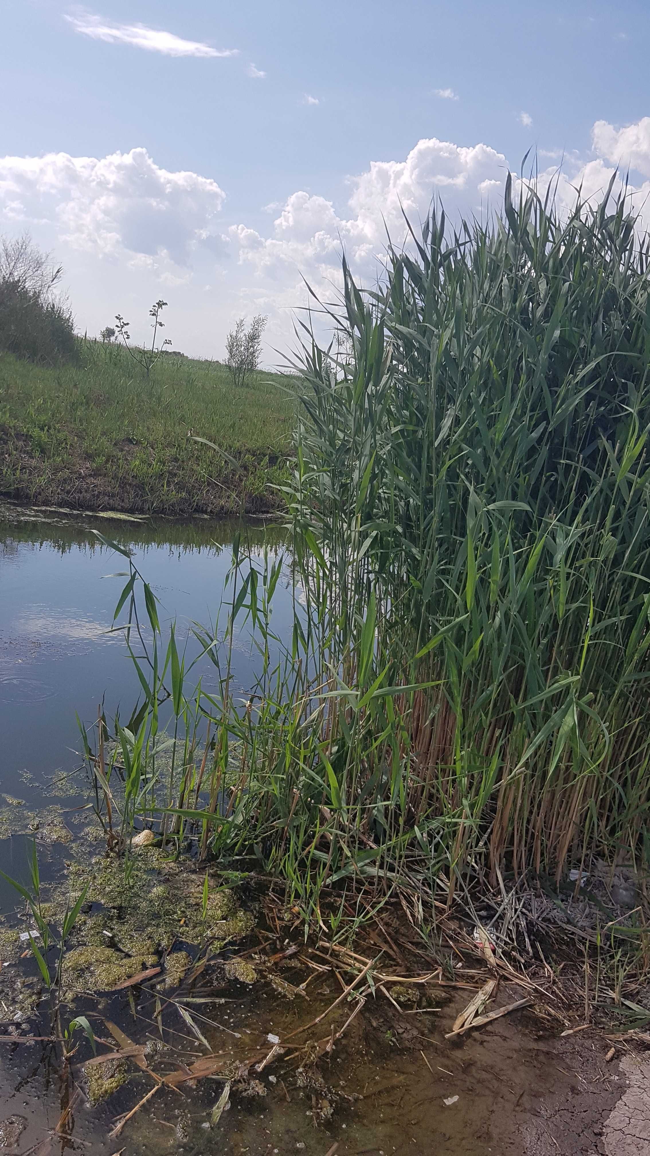 Участок с выходом в реку