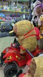 Капібара величезний