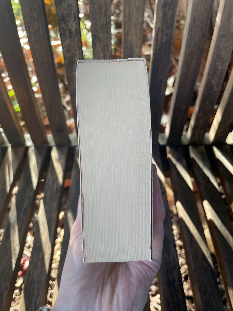 Syn cyrku - John Irving