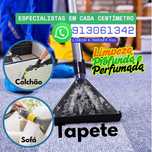 Lavagem Profissional de Tapetes, Sofás e Colchões