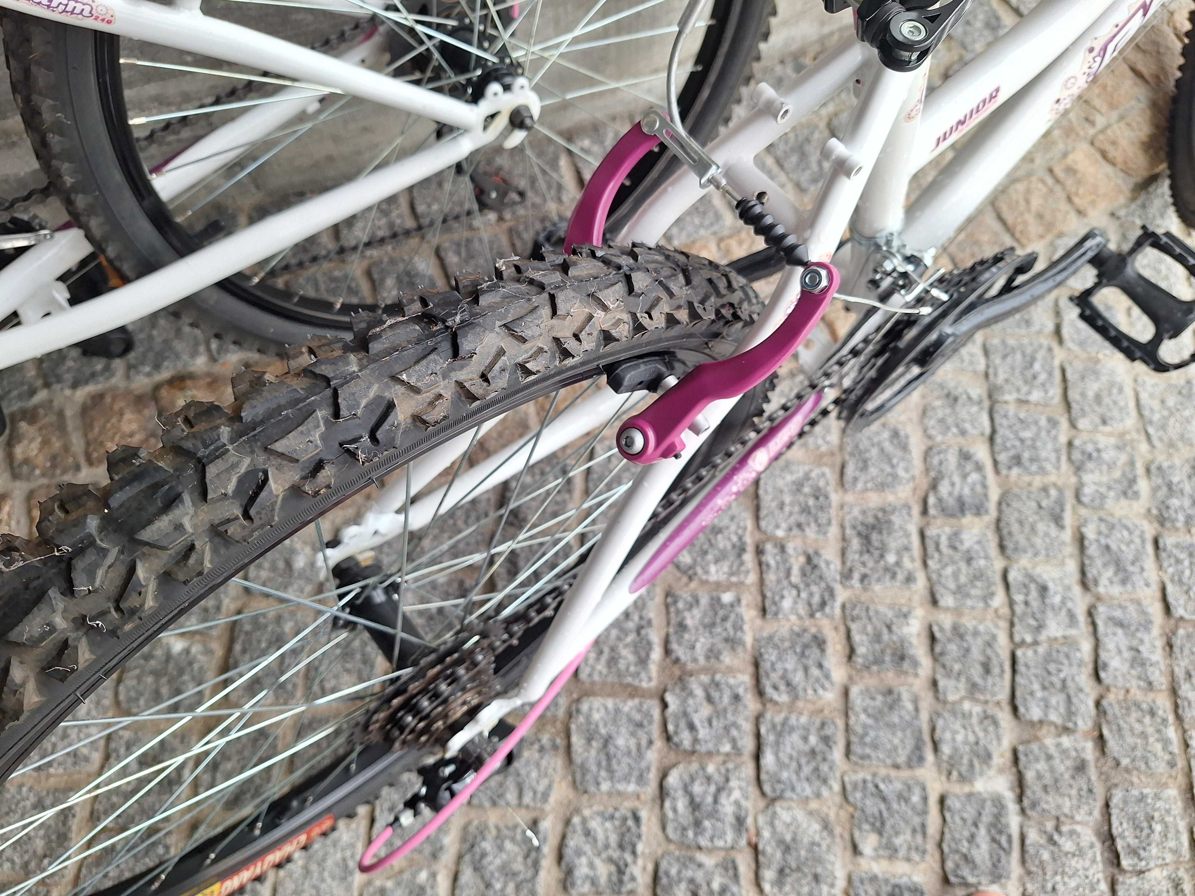 Bicicleta BERG Charm
