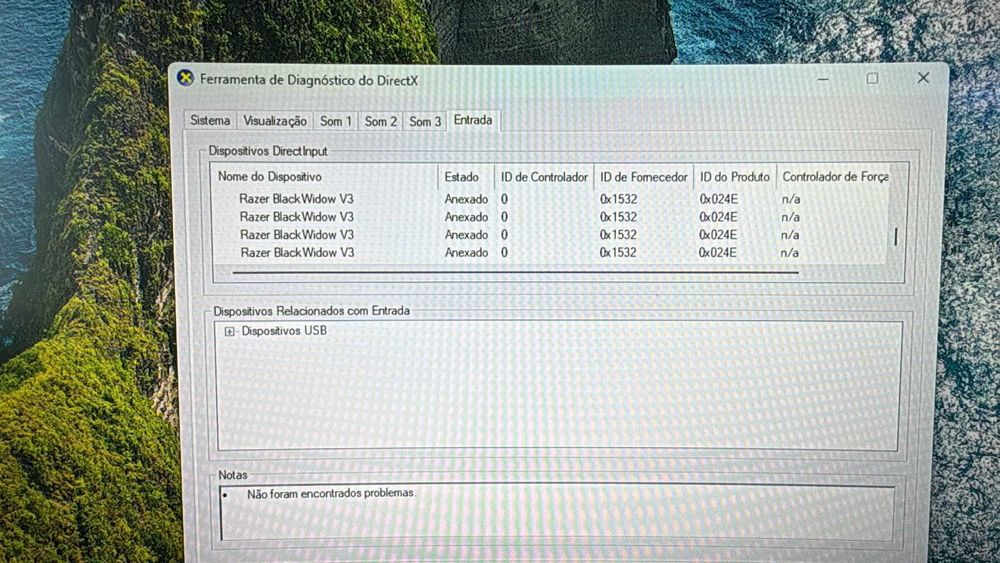 Setup Gamer (PC, Monitor curvo, teclado)