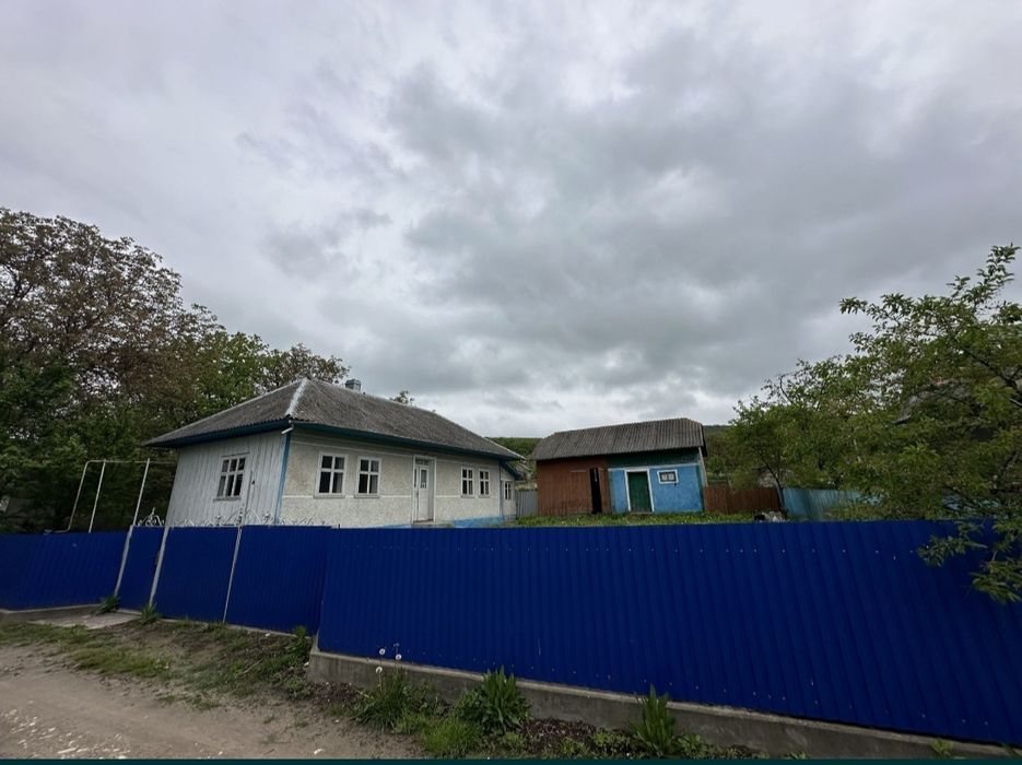 Продам приватизований  будинок в с.Горішні Шерівці