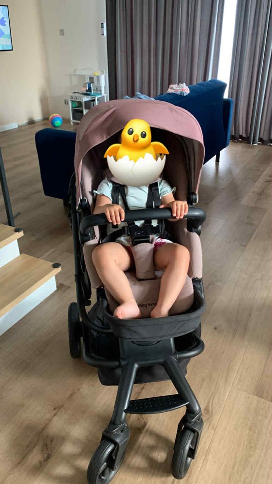 Wózek Easywalker Harvey2