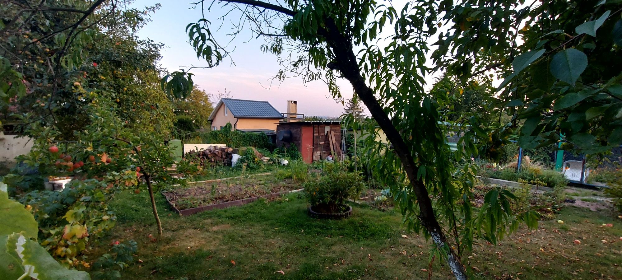 Prawo do ROD ul. Ostrowska