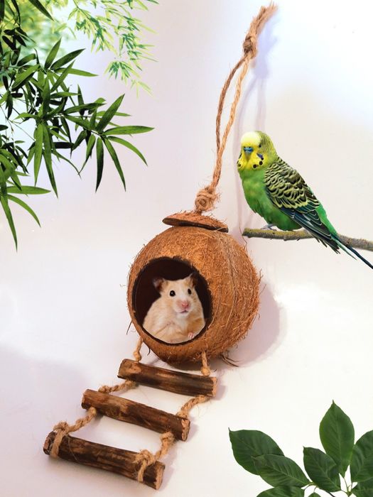 Домик для хомяка "Кокос"