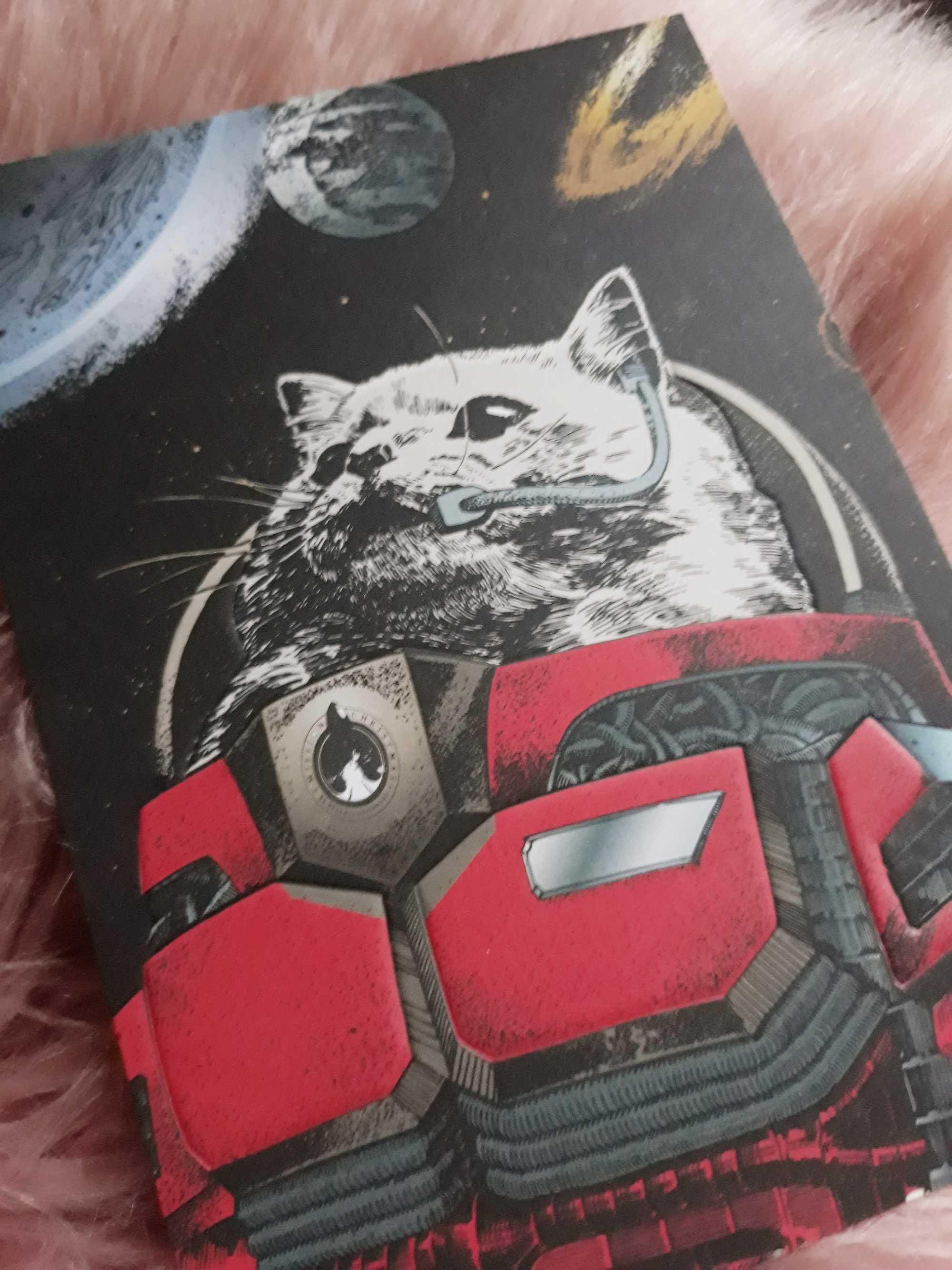 Pocztówka z kotem w kosmosie