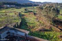 Terreno em Riba de Âncora