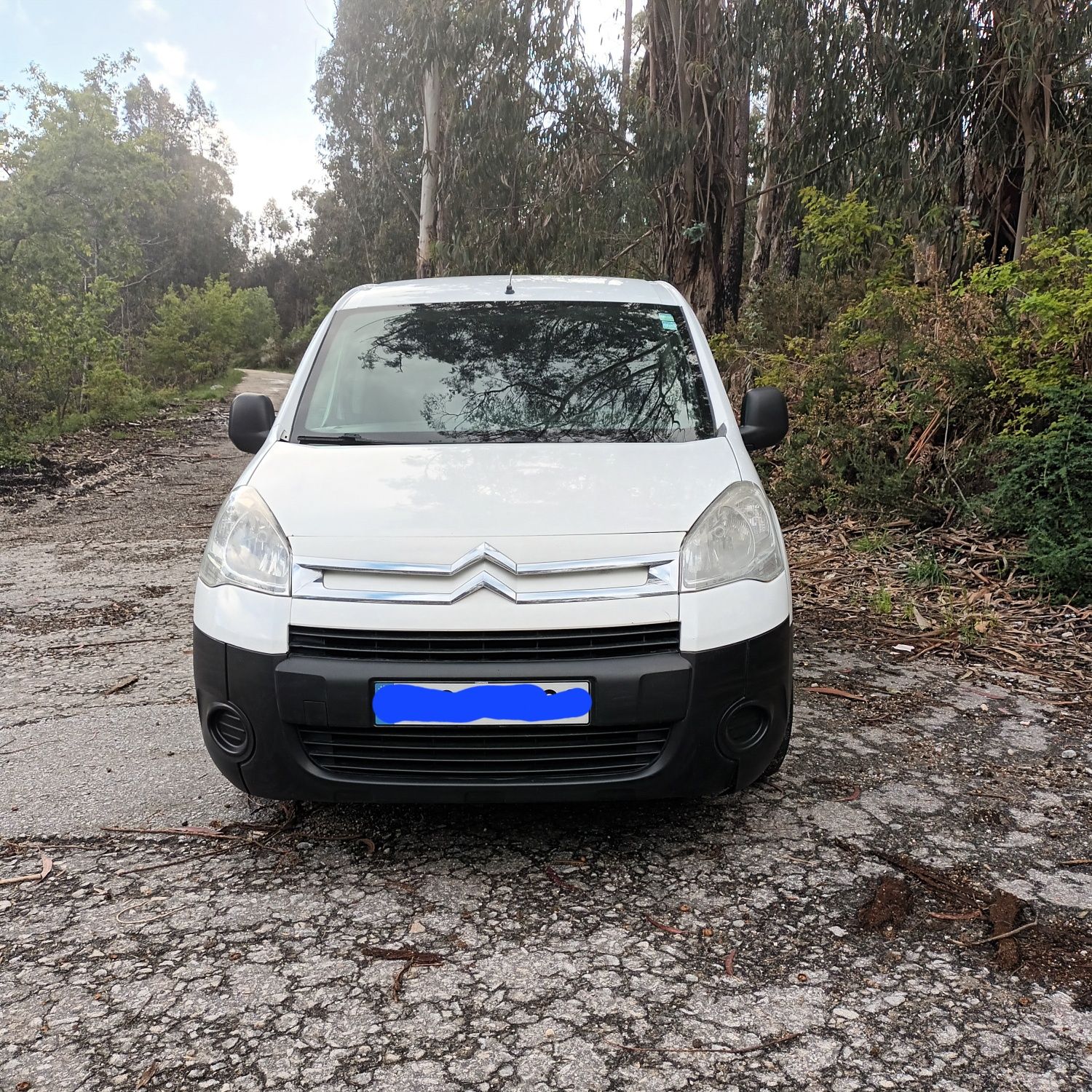 Citroën berlingo 1.6 hdi