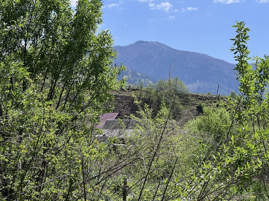 Продається ділянка у центрі Міжгірʼя у горах Закарпаття