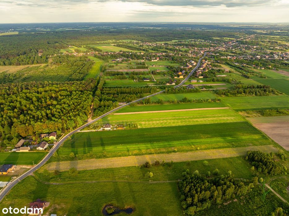 Działki budowlane - położenie, las, usługi