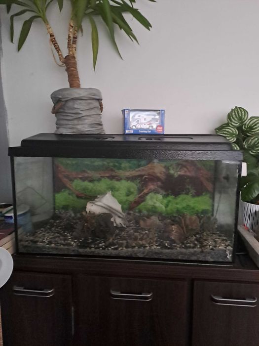 Akwarium 128L z pokrywą